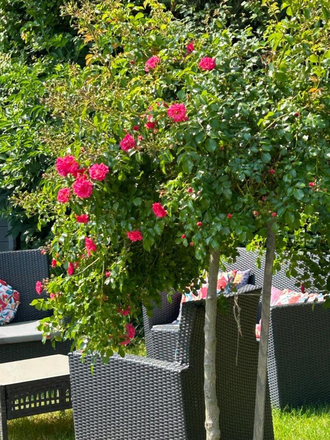La Glycine B&B Sainte-Colombe  Bagian luar foto